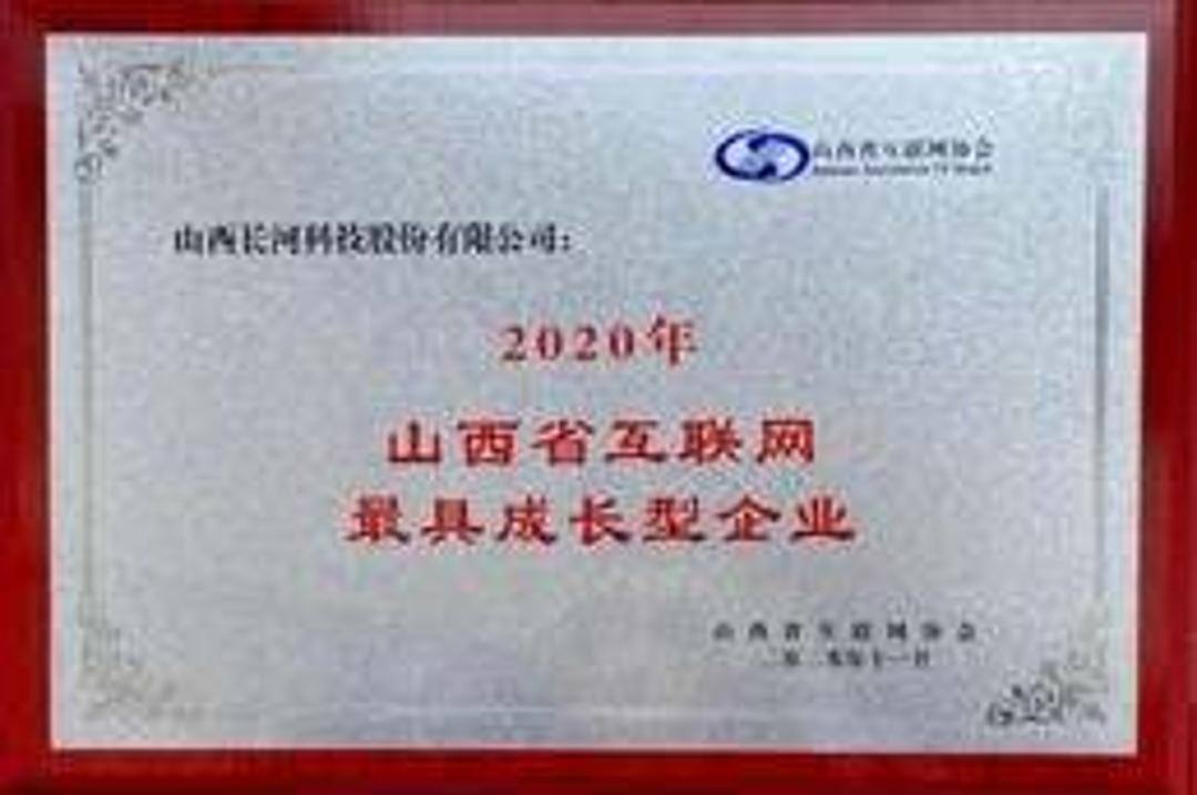 山西省互联网最具成长型企业
